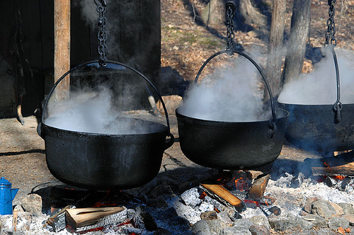 Maple Syrup Festival